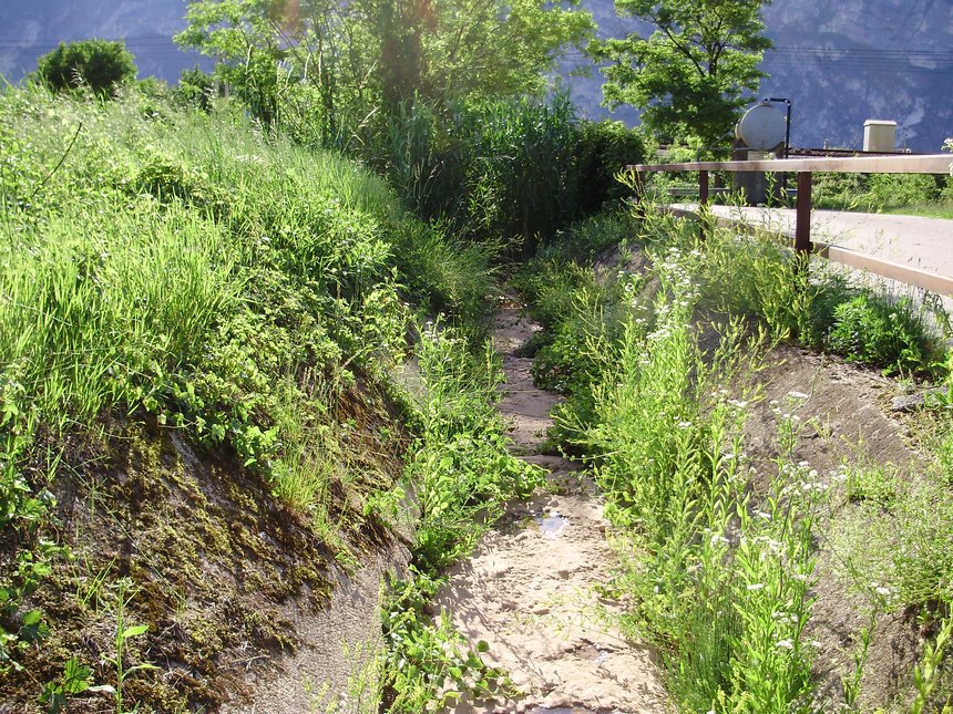 La Valle dell''Adige e l''ululone